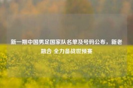 新一期中国男足国家队名单及号码公布，新老融合 全力备战世预赛