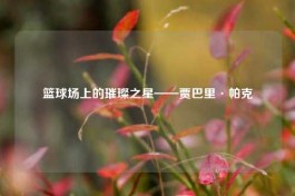 篮球场上的璀璨之星——贾巴里·帕克