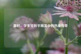 嘉轩，学生党和平精英中的热血传奇