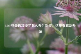 LOL 登录选项没了怎么办？别慌，这里有解决办法
