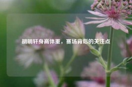 胡明轩身高体重，赛场背后的关注点