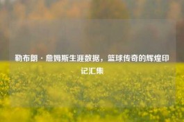 勒布朗·詹姆斯生涯数据，篮球传奇的辉煌印记汇集