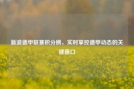 新浪德甲联赛积分榜，实时掌控德甲动态的关键窗口
