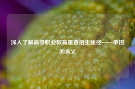深入了解高等职业教育重要招生途径——单招的含义