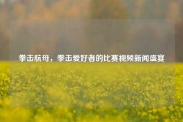 拳击航母，拳击爱好者的比赛视频新闻盛宴