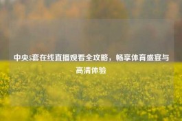 中央5套在线直播观看全攻略，畅享体育盛宴与高清体验