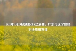 2021年4月29日热血CBA总决赛，广东与辽宁巅峰对决燃爆直播