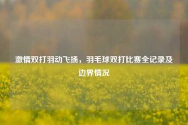      双打羽动飞扬，羽毛球双打比赛全记录及边界情况