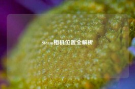 Steam相机位置全解析