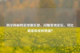 阿尔阿赫利足球俱乐部，闪耀非洲足坛，可比肩曼联或利物浦？