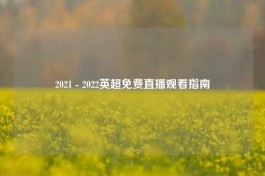2021 - 2022英超免费直播观看指南