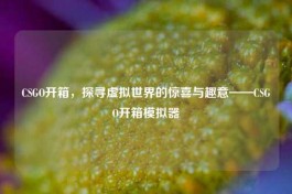 CSGO开箱，探寻虚拟世界的惊喜与趣意——CSGO开箱模拟器