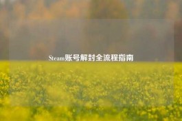 Steam账号解封全流程指南