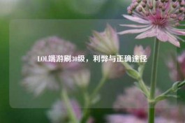 LOL端游刷30级，利弊与正确途径