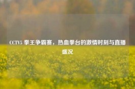 CCTV5 拳王争霸赛，热血拳台的***时刻与直播盛况