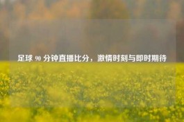 足球 90 分钟直播比分，     时刻与即时期待