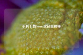 手机下载Steam途径全揭秘
