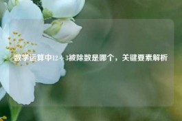 数学运算中12÷3被除数是哪个，关键要素解析