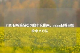 PUBG日韩端轻松切换中文指南，pubgm日韩服切换中文 *** 
