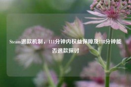 Steam退款机制，111分钟内权益保障及118分钟能否退款探讨