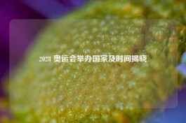2028 奥运会举办国家及时间揭晓