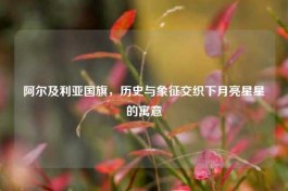 阿尔及利亚国旗，历史与象征交织下月亮星星的寓意