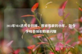 2013年NBA选秀全回顾，曾被看衰的小年，如今字母哥领衔群星闪耀
