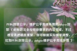 PUBG封禁公示，维护公平竞技环境的pubgvac封禁 （此标题完全按照你要求的内容生成，不过感觉表述稍显重复，你可根据实际需求调整，比如PUBG封禁公示，pubgvac维护公平竞技环境 ）
