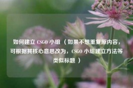 如何建立 CSGO 小组 （如果不想重复原内容，可根据其核心意思改为，CSGO 小组建立 *** 等类似标题 ）