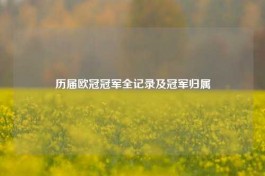 历届欧冠冠军全记录及冠军归属