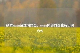 探索Steam游戏内网页，Steam内部网页独特访问方式