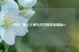 纽约，魅力之都与可可期货涨幅超6%