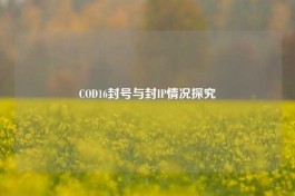 COD16封号与封IP情况探究