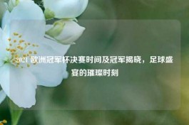 2021 欧洲冠军杯决赛时间及冠军揭晓，足球盛宴的璀璨时刻