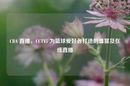CBA 直播，CCTV5 为篮球爱好者打造的盛宴及在线直播