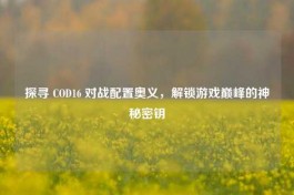 探寻 COD16 对战配置奥义，解锁游戏巅峰的神秘密钥