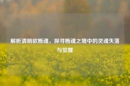 解析清明欲断魂，探寻断魂之境中的灵魂失落与觉醒