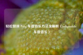 轻松替换 Pubg 车载音乐 *** 全解析（pubgmobile 车载音乐）