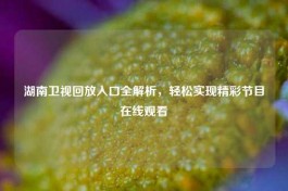湖南卫视回放入口全解析，轻松实现精彩节目在线观看