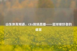 山东体育频道，CBA现场直播——篮球爱好者的盛宴