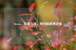Steam、名著与球，奇妙的跨界之旅