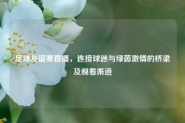 足球友谊赛直播，连接球迷与绿茵     的桥梁及观看渠道
