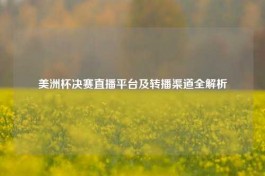 美洲杯决赛直播平台及转播渠道全解析