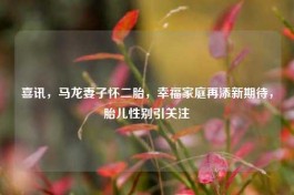 喜讯，马龙妻子怀二胎，幸福家庭再添新期待，胎儿性别引关注