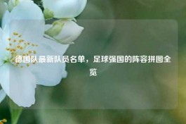德国队最新队员名单，足球强国的阵容拼图全览