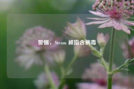 警惕，Steam 被指含病毒