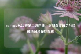 2021 CBA 总决赛第二场回放，激烈角逐背后的精彩瞬间及在线观看