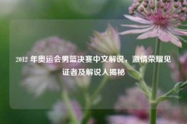 2012 年奥运会男篮决赛中文解说，     荣耀见证者及解说人揭秘