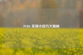PUBG 实用小技巧大揭秘