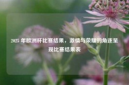2025 年欧洲杯比赛结果，     与荣耀的角逐呈现比赛结果表